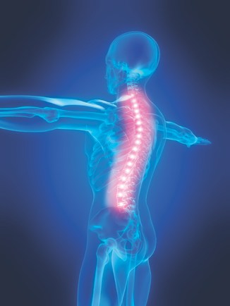 Spine Orthopedic Implants